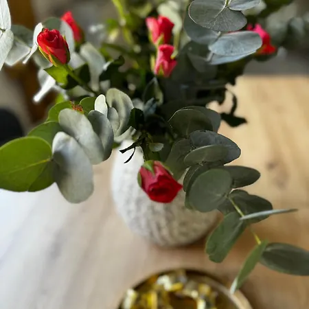 Apartamento Haus Gitta - Stilvolle Stadtoase